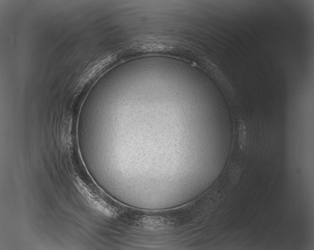 X0000085250490200703161256