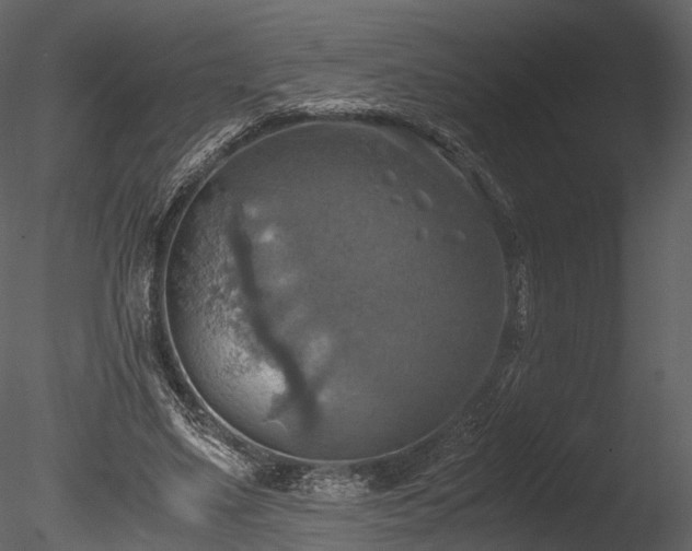 X0000085250491200703161256