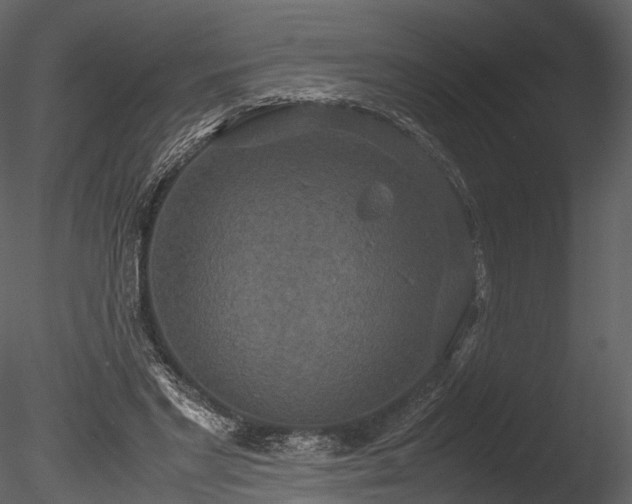 X0000085250493200703161256