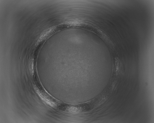 X0000085250494200703161256