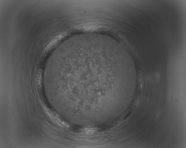 X0000085250495200703161256