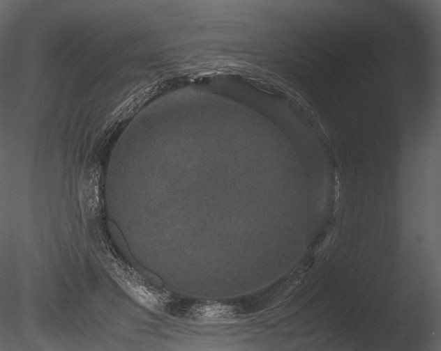 X0000085250501200703161256