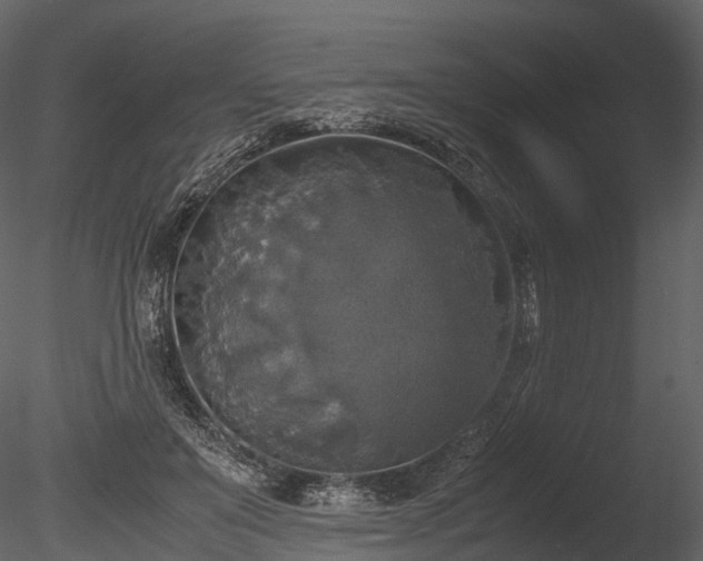 X0000085250503200703161256