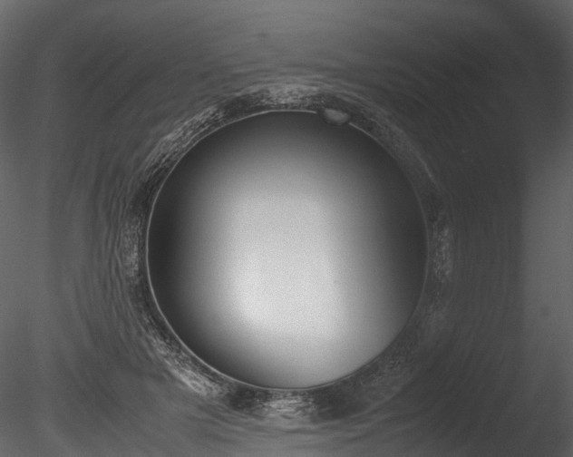 X0000085250505200703161256