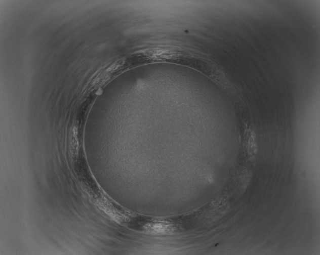 X0000085250506200703161256