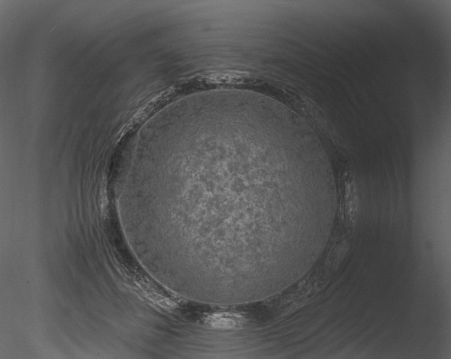 X0000085250508200703161256