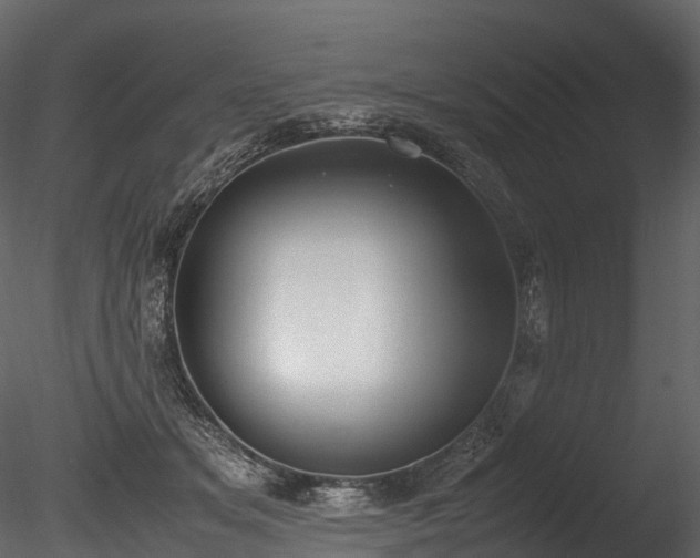 X0000085250509200703161256