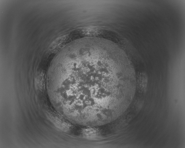 X0000085250511200703161256