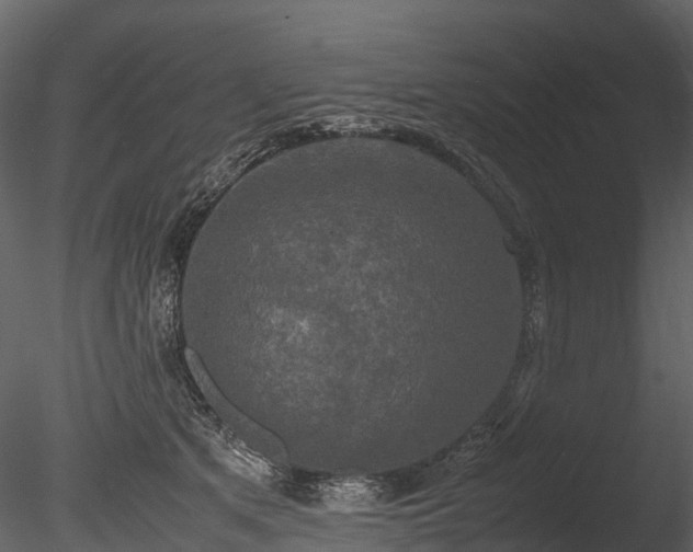 X0000085250513200703161256