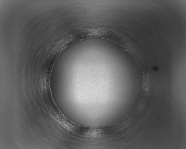 X0000085250514200703161256