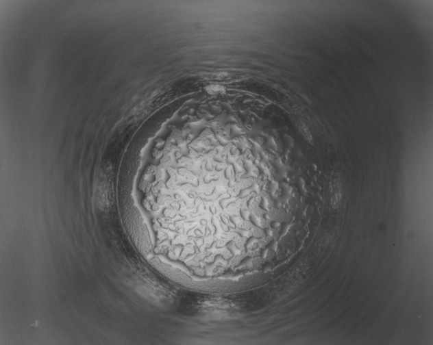 X0000085250515200703161256