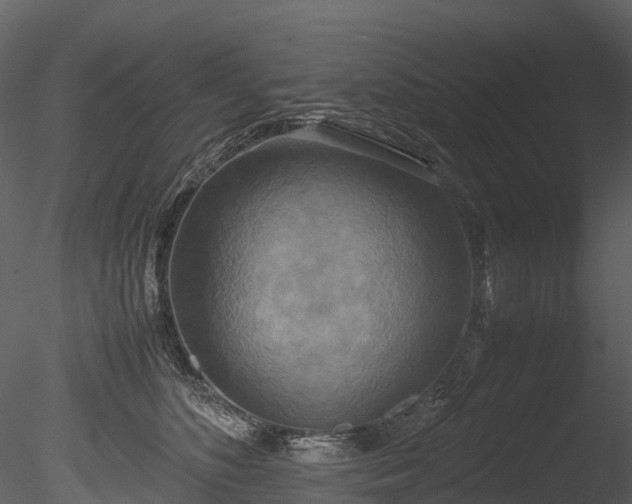 X0000085250516200703161256