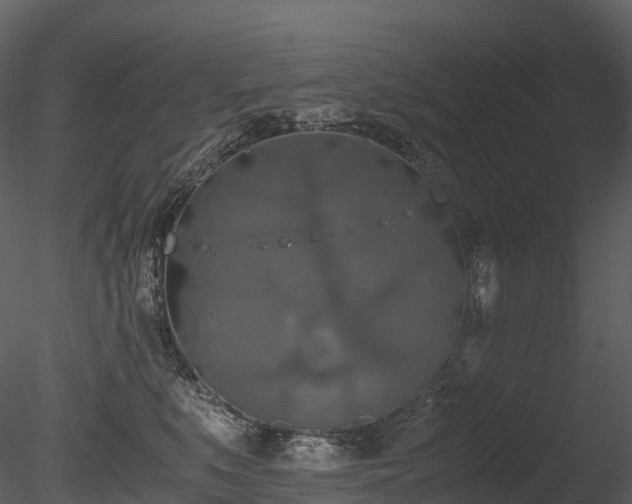 X0000085250519200703161256