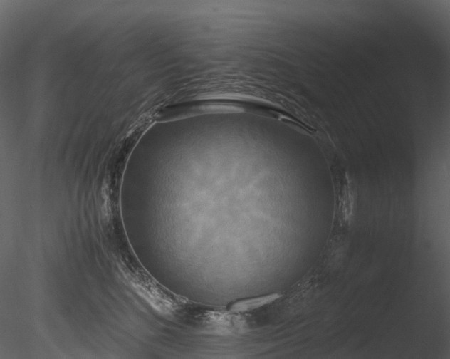 X0000085250520200703161256