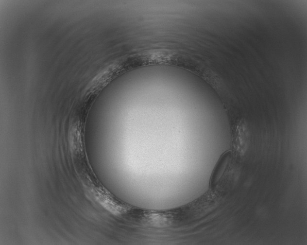 X0000085250522200703161255