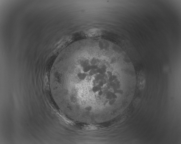 X0000085250523200703161255