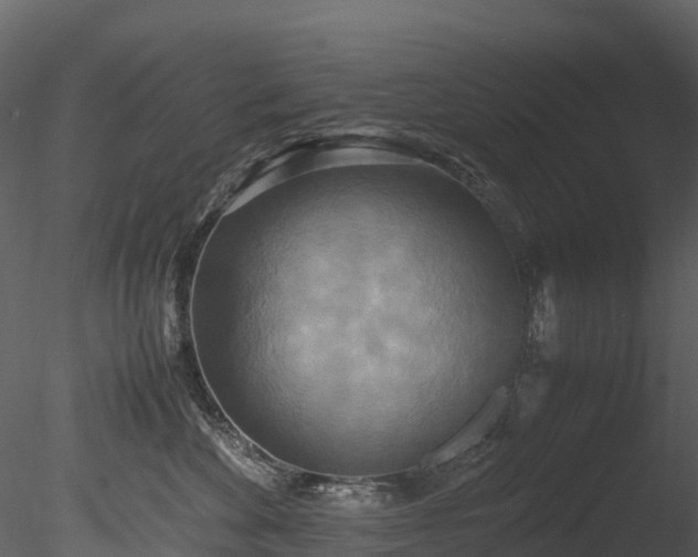 X0000085250524200703161255