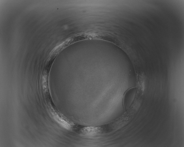 X0000085250526200703161255