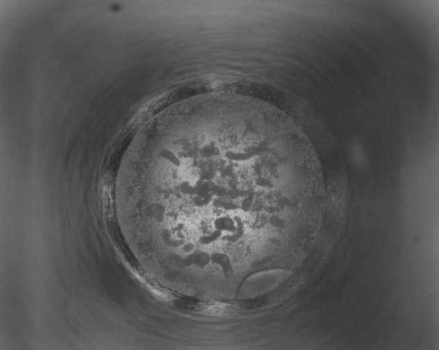 X0000085250527200703161255