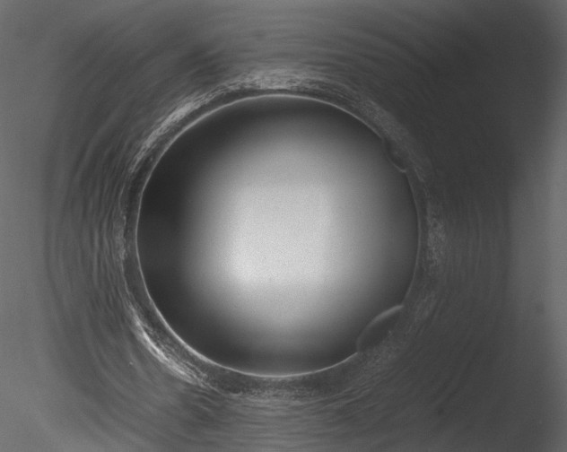 X0000085250530200703161255