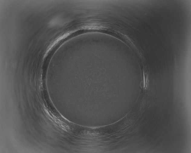 X0000085250531200703161255