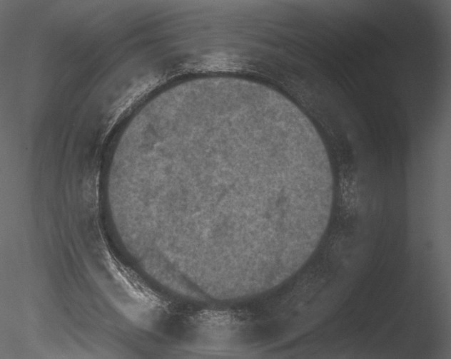 X0000085250534200703161255