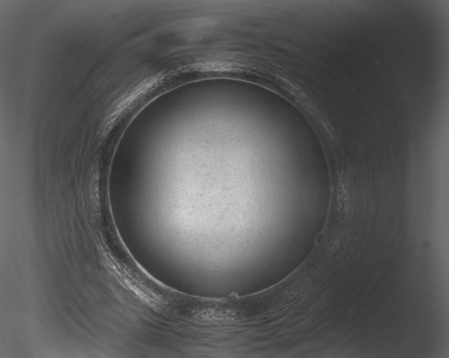 X0000085250535200703161255