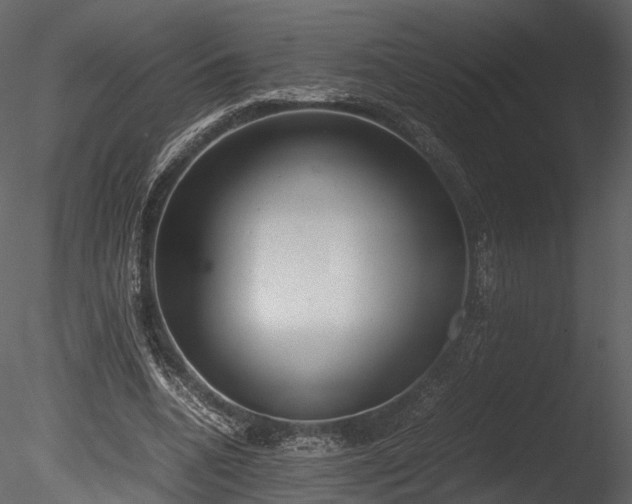 X0000085250536200703161255