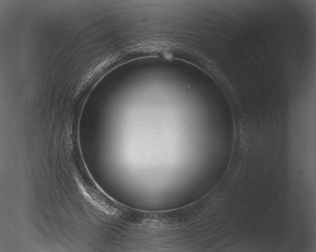 X0000085250538200703161255