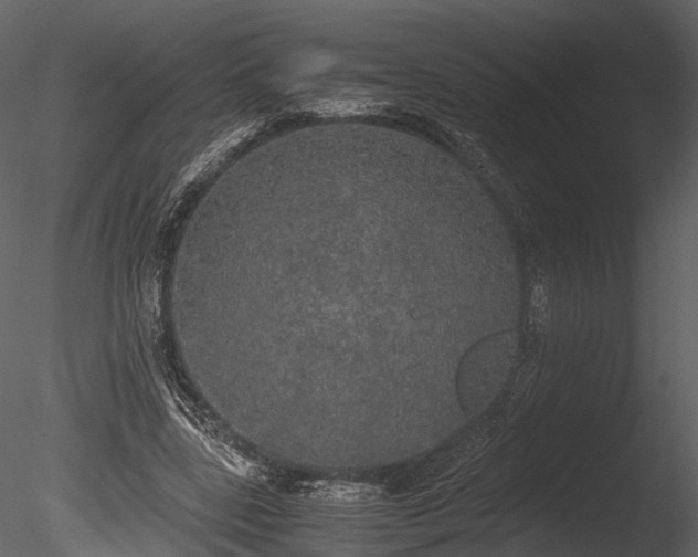 X0000085250539200703161255