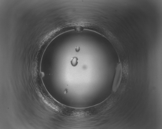 X0000085250540200703161255