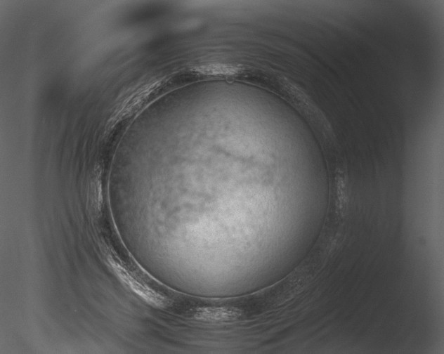 X0000085250541200703161255