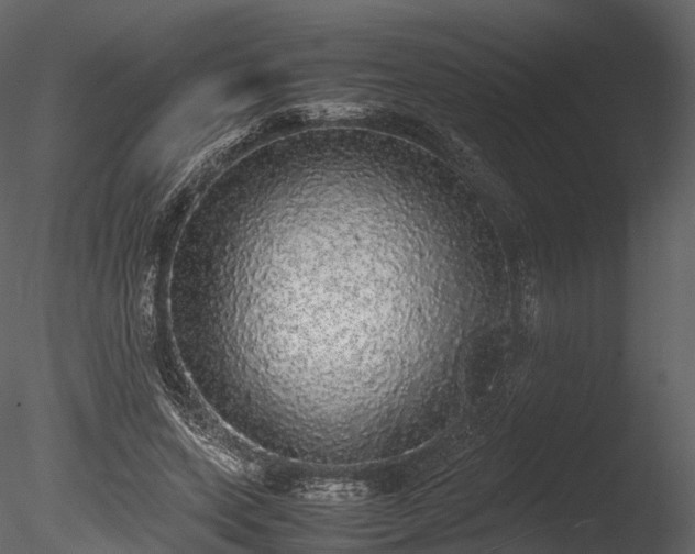 X0000085250543200703161255