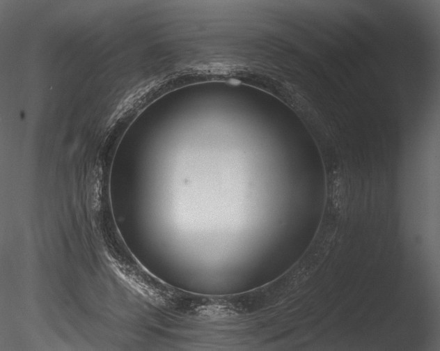 X0000085250544200703161255