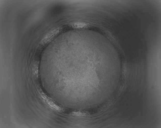 X0000085250545200703161255