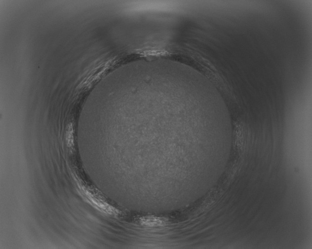 X0000085250549200703161255