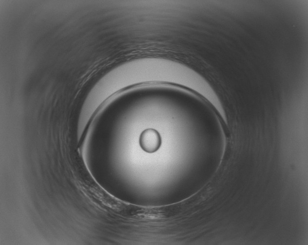 X0000085250552200703161255