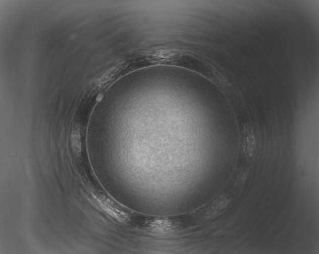 X0000085250562200703161255