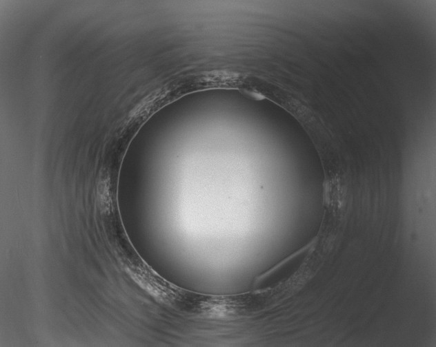 X0000085250564200703161255