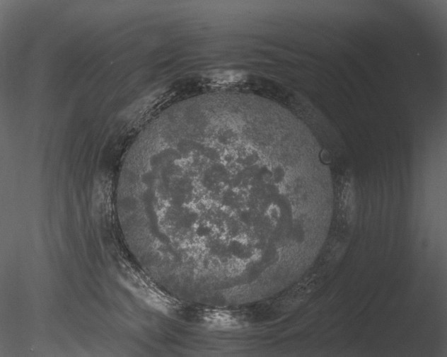 X0000085250565200703161255