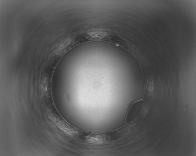 X0000085250567200703161255