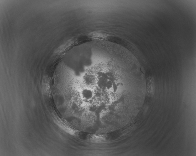 X0000085250573200703161255