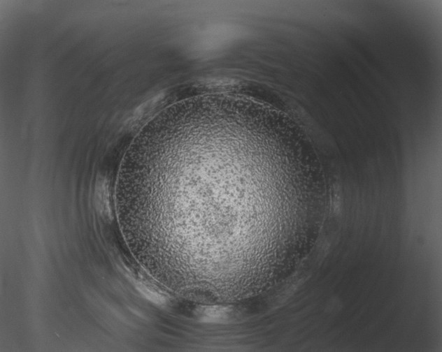 X0000085250575200703161255