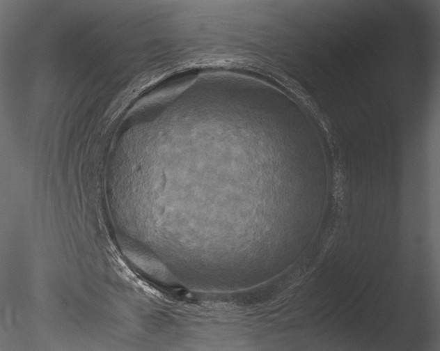 X0000085250577200703161255