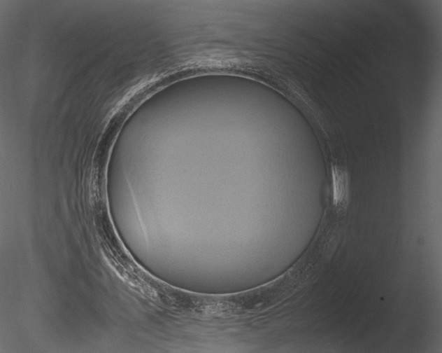 X0000085250579200703161254