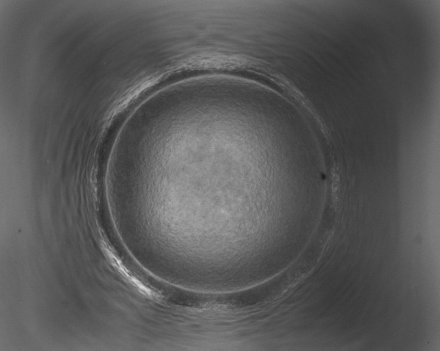 X0000085250581200703161254