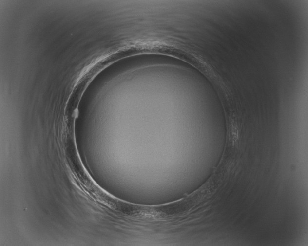 X0000085250583200703161254