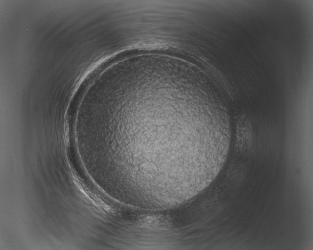 X0000085250584200703161254