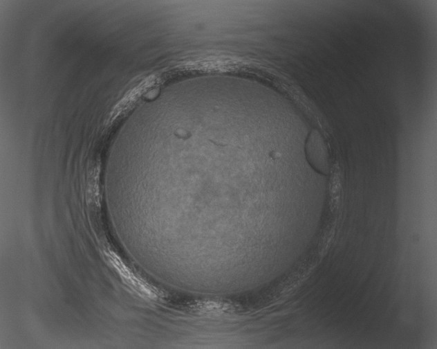 X0000085250585200703161254