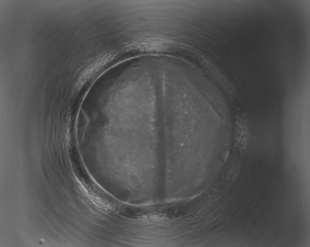 X0000085250586200703161254